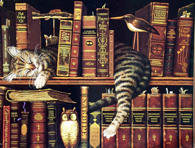 cat-and-books